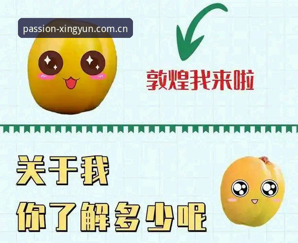 资深用户分享：杏运苹果下载2026最新版本的使用心得与实战经验